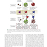 Basic Immunology: Functions and Disorders of the Immune System