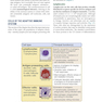 Basic Immunology: Functions and Disorders of the Immune System