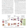 Basic Immunology: Functions and Disorders of the Immune System