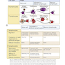 Basic Immunology: Functions and Disorders of the Immune System