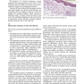 Oral Diseases : Textbook and Atlas