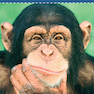 Biological Psychology 2019