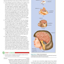 Biological Psychology 2019
