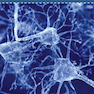 Biological Psychology 2019