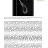 Implant Procedures for the General Dentist, An Issue of Dental Clinics of North America
