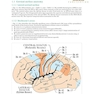 Handbook of Neurosurgery