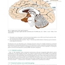 Handbook of Neurosurgery