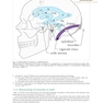 Handbook of Neurosurgery