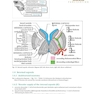 Handbook of Neurosurgery