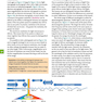 Cambridge International AS and A Level Biology Coursebook with