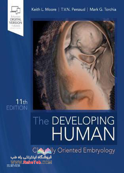The Developing Human: Clinically Oriented Embryology 2019