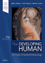 The Developing Human: Clinically Oriented Embryology 2019