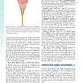 The Developing Human: Clinically Oriented Embryology 2019