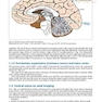 Handbook of Neurosurgery2020  9th Edition