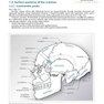 Handbook of Neurosurgery2020  9th Edition