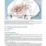 Handbook of Neurosurgery2020  9th Edition