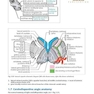 Handbook of Neurosurgery2020  9th Edition