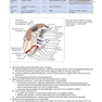 Handbook of Neurosurgery2020  9th Edition