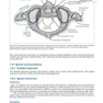 Handbook of Neurosurgery2020  9th Edition