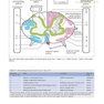 Handbook of Neurosurgery2020  9th Edition