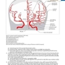 Handbook of Neurosurgery2020  9th Edition