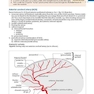 Handbook of Neurosurgery2020  9th Edition