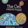 The Cell: A Molecular Approach 8th Edition 2019