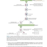 جنین شناسی نسخه ششم  BRS Embryology (Board Review Series) Sixth Edition BRS  
