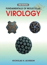 Fundamentals of Molecular Virology 2nd Edition