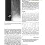  Encyclopedia of Sports Medicine 1st Edition, Kindle Edition کتاب دایرةالمعارف پزشکی ورزشی چاپ اول