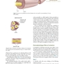 Handbook of Local Anesthesia 7th ed. Edition 2020 کتاب راهنمای بی حسی موضعی