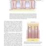 Handbook of Local Anesthesia 7th ed. Edition 2020 کتاب راهنمای بی حسی موضعی