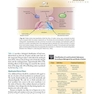 Handbook of Local Anesthesia 7th ed. Edition 2020 کتاب راهنمای بی حسی موضعی