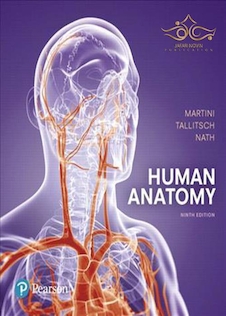 عکس Human Anatomy (9th Edition) 9th Edition 2017 آناتومی انسان