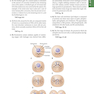 Guyton - Hall Physiology Review (Guyton Physiology) 4th Edition