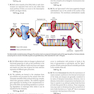Guyton - Hall Physiology Review (Guyton Physiology) 4th Edition