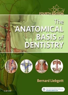 عکس 2018 The Anatomical Basis of Dentistry 4th Edition مبانی آناتومیک دندانپزشکی