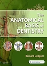 2018 The Anatomical Basis of Dentistry 4th Edition مبانی آناتومیک دندانپزشکی