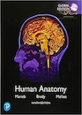 2020 Human Anatomy, Global Edition 9th Edition آناتومی انسانی
