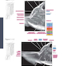 Sectional Anatomy by MRI and CT, 4th Edition2016