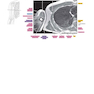 Sectional Anatomy by MRI and CT, 4th Edition2016
