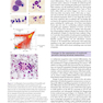 Postgraduate Haematology 7th Edition 2016