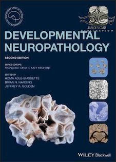 عکس Developmental Neuropathology, 2nd Edition2018 آسیب شناسی عصبی رشد