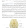 Manual of Neuroanesthesia: The Essentials 1st Edition2017