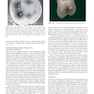 Sturdevant’s Art and Science of Operative Dentistry, 7th Edition2018