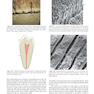 Sturdevant’s Art and Science of Operative Dentistry, 7th Edition2018