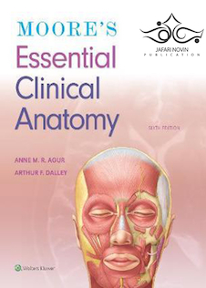 عکس Moore’s Essential Clinical Anatomy, Sixth Edition 2019