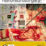 The Textbook of Nanoneuroscience and Nanoneurosurgery 1st Edition 2013