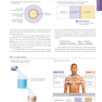 Human Physiology: An Integrated Approach 8th Edicion 2019