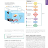 Human Physiology: An Integrated Approach 8th Edicion 2019